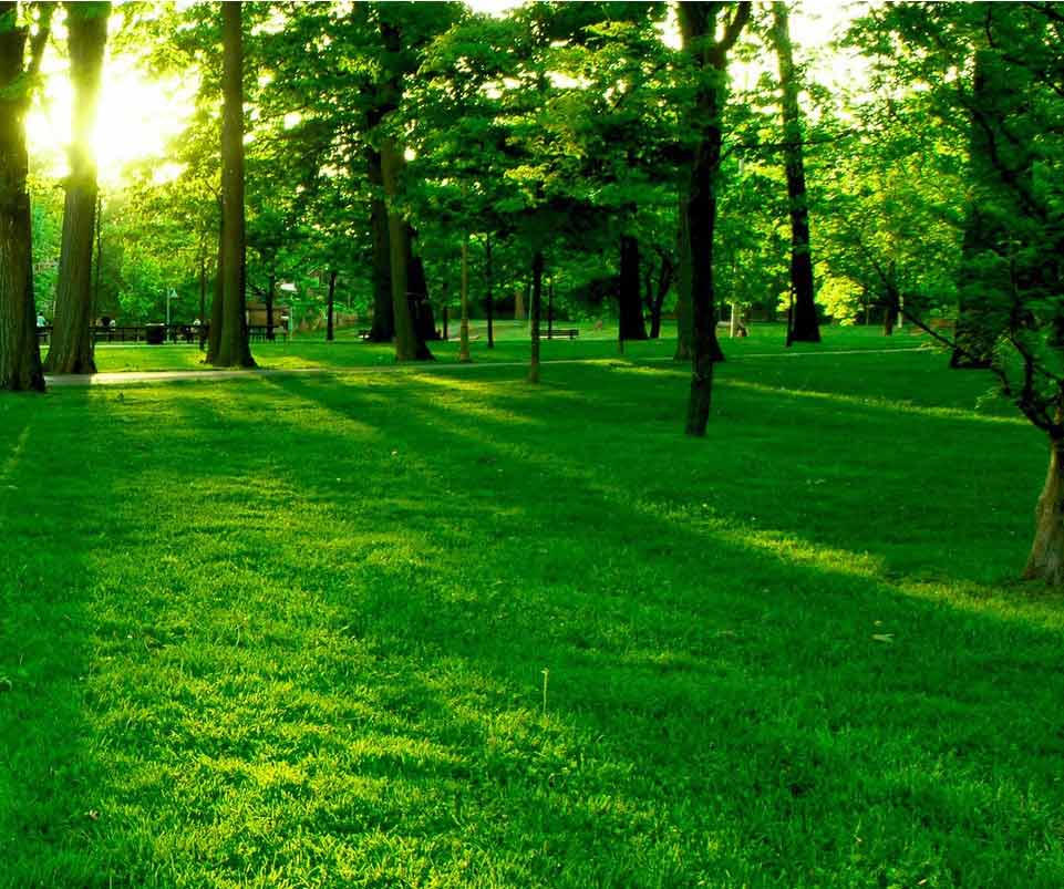 自然，我们永不伤害自然